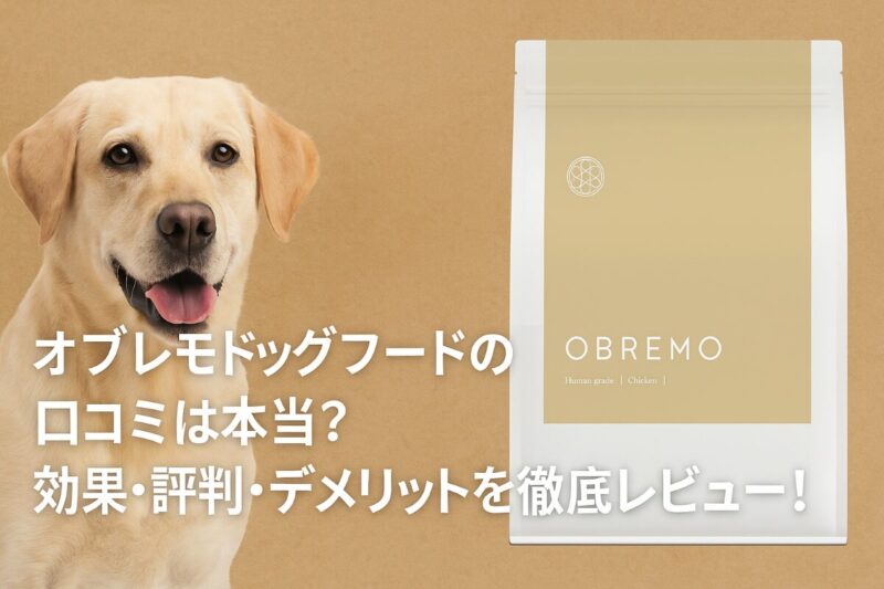 オブレモ 口コミ