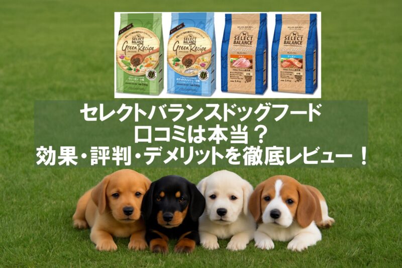セレクトバランス 口コミ
